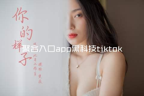 聚合入口app黑科技tiktok